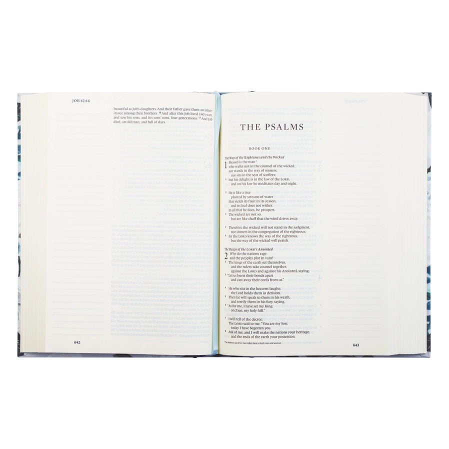 Victoria ESV Large Print Journaling Bible