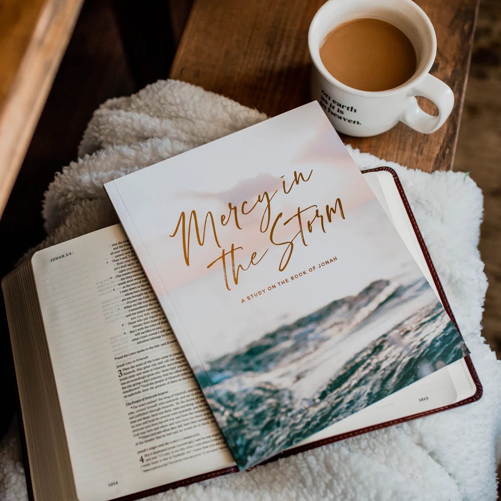 Mercy In the Storm Book Study