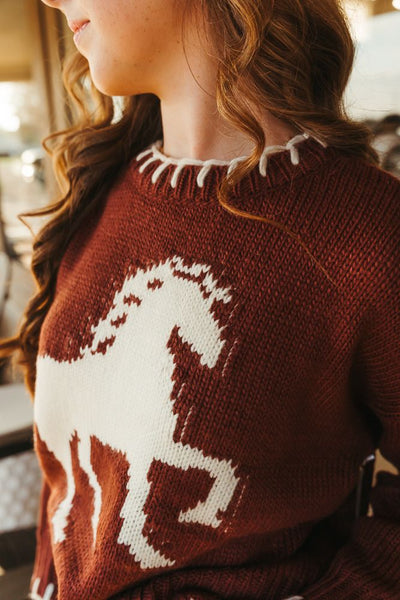 Chocolate Horse Sweater with Stitched Hem BRW2936-4